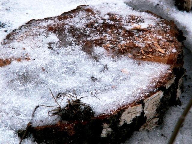 Фото Челябинск и челябинцы. Декабрь-2006(2)