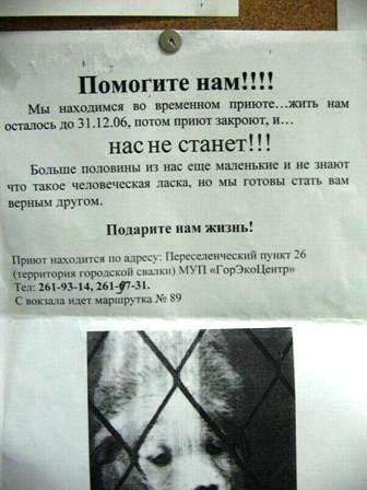 Фото Среда обитания