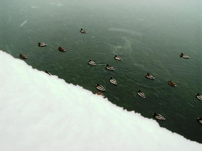 Фото Челябинск и челябинцы. Декабрь-2006(2)