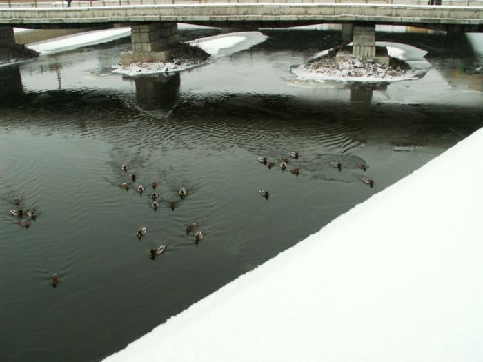 Фото Челябинск и челябинцы. Декабрь-2006(2)