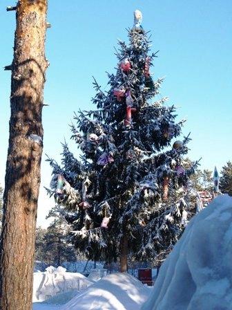Фото Челябинск и челябинцы. Декабрь-2006(3)