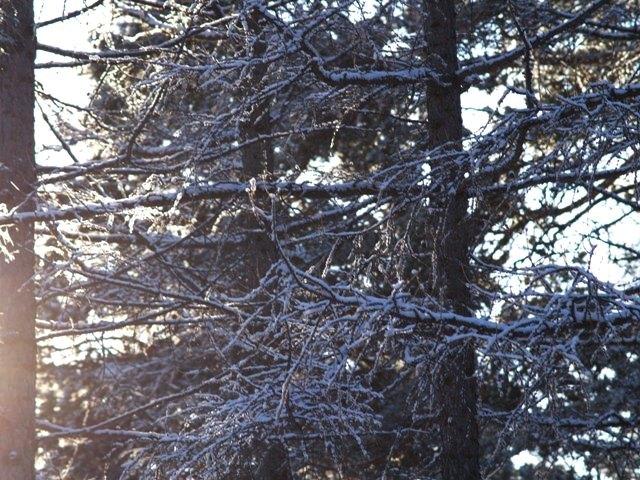 Фото Челябинск и челябинцы. Декабрь-2006(3)