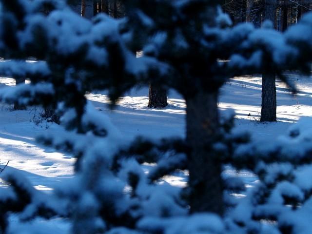 Фото Челябинск и челябинцы. Декабрь-2006(3)