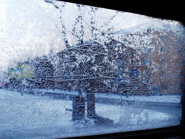 Фото Челябинск и челябинцы. Декабрь-2006(3)