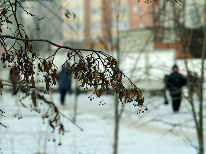 Фото Челябинск и челябинцы. Январь-2007