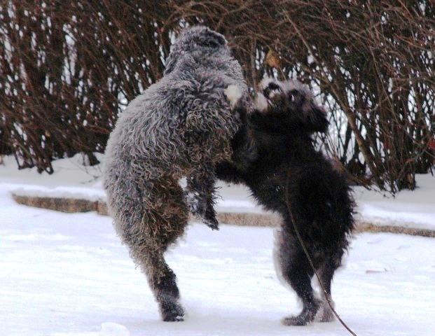 Фото Челябинск и челябинцы. Январь-2007
