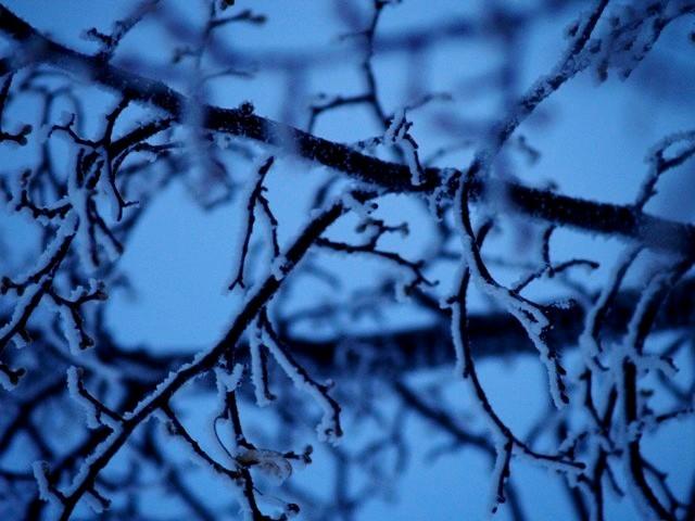 Фото Челябинск и челябинцы. Февраль-2007