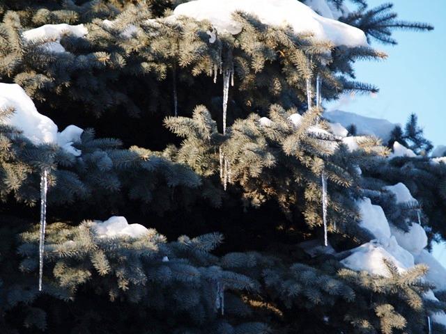 Фото Челябинск и челябинцы. Февраль-2007