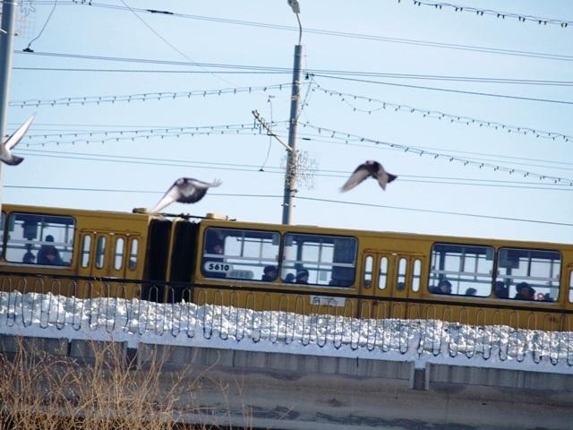 Фото Челябинск и челябинцы. Февраль-2007