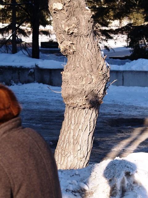 Фото Челябинск и челябинцы. Февраль-2007 (2)
