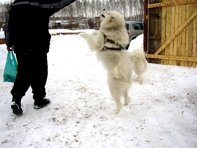 Фото Среда обитания