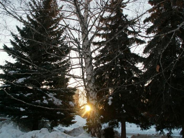 Фото Челябинск и челябинцы. Февраль-2007 (2)