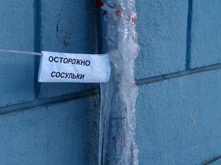 Фото Среда обитания