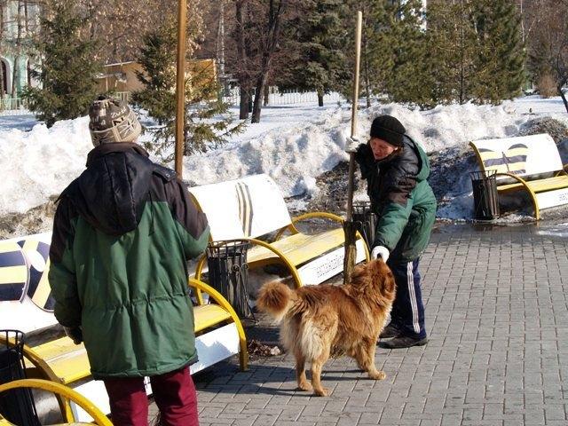 Фото Весеннее  равноденствие-2007