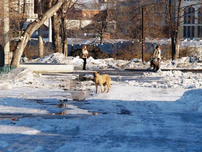 Фото Весеннее  равноденствие-2007