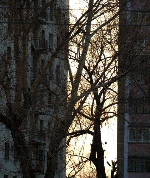 Фото Весеннее  равноденствие-2007