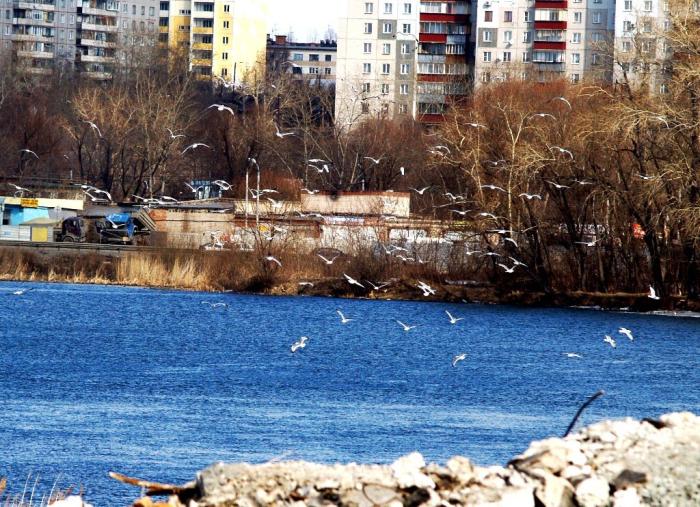 Фото Челябинск и челябинцы. Март-2007