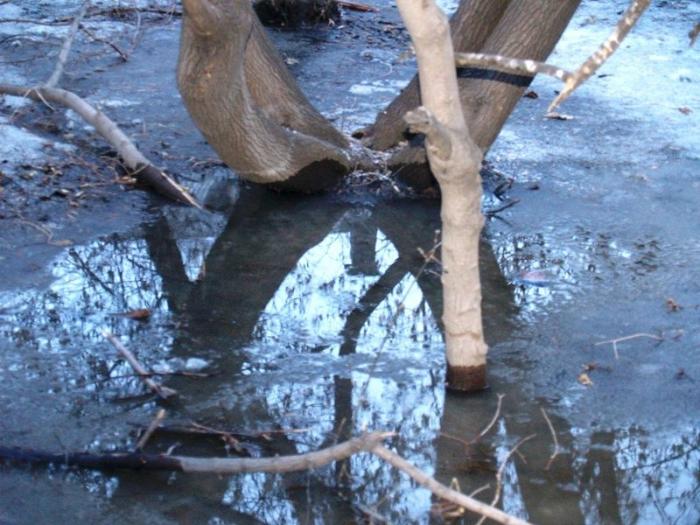 Фото Челябинск и челябинцы. Март-2007