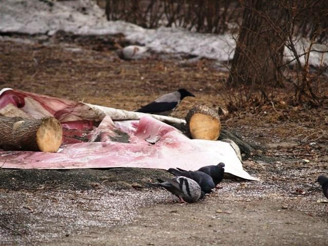 Фото Челябинск и челябинцы. Март-2007