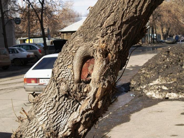 Фото Челябинск и челябинцы. Март-2007