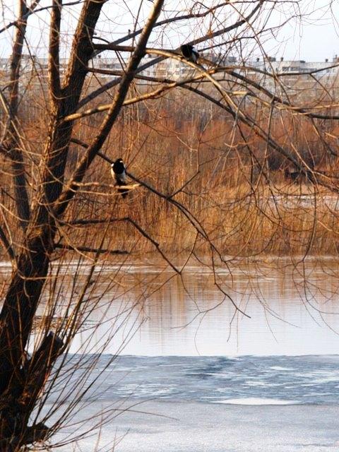 Фото Челябинск и челябинцы.Апрель-2007