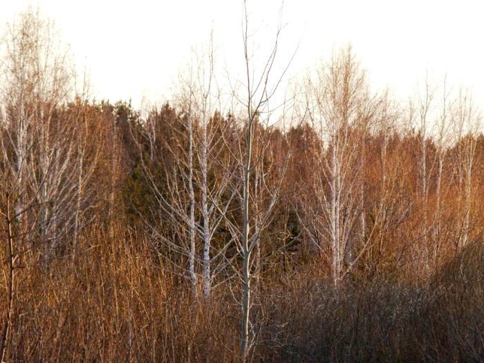 Фото Челябинск и челябинцы.Апрель-2007