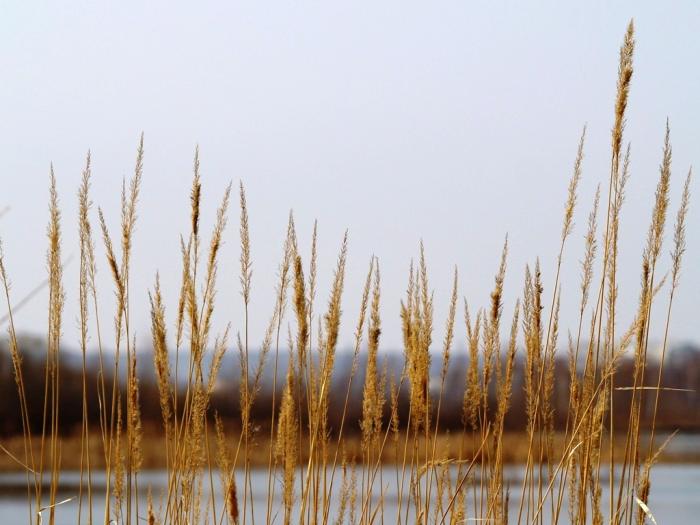Фото Челябинск и челябинцы.Апрель-2007