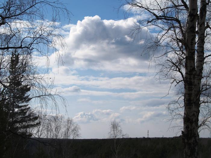 Фото «Соколинка-2007».