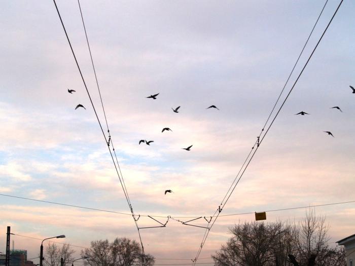 Фото Челябинск и челябинцы.Апрель-2007