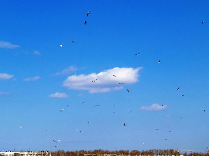 Фото Челябинск и челябинцы. Апрель-2007 (2)