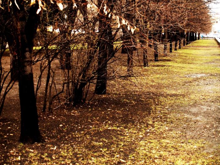 Фото Челябинск и челябинцы. Апрель-2007 (2)