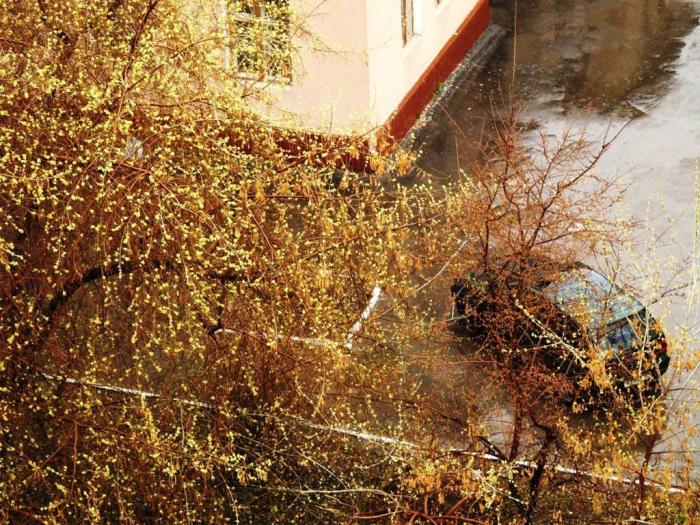 Фото Челябинск и челябинцы. Апрель-2007 (2)
