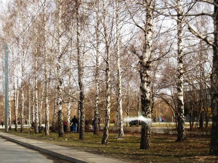Фото Челябинск и челябинцы. Апрель-2007 (2)