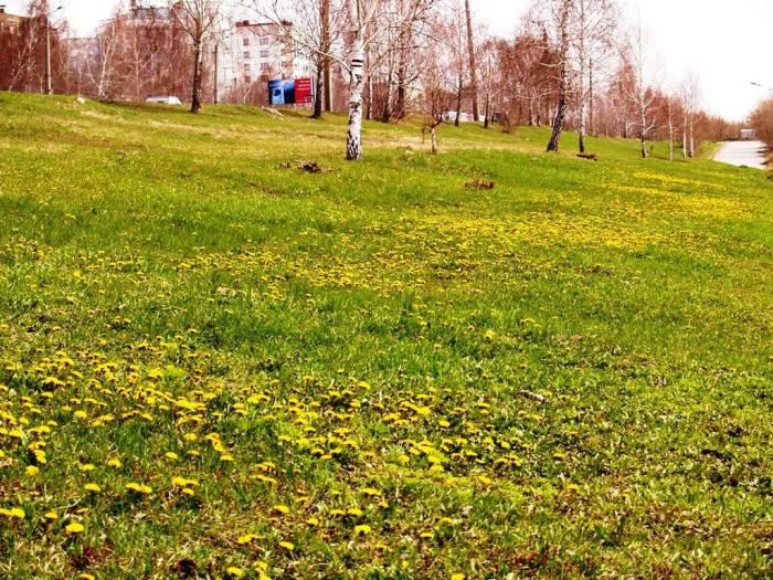 Фото Челябинск и челябинцы. Апрель-2007 (2)