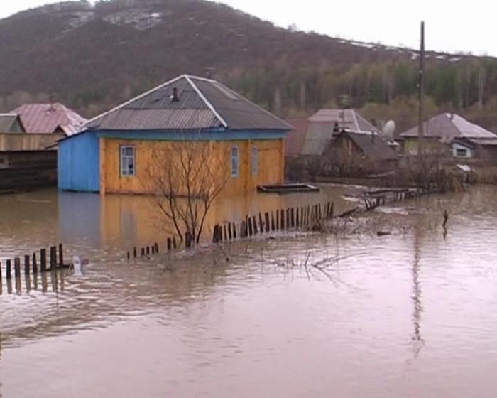 Фото Среда обитания