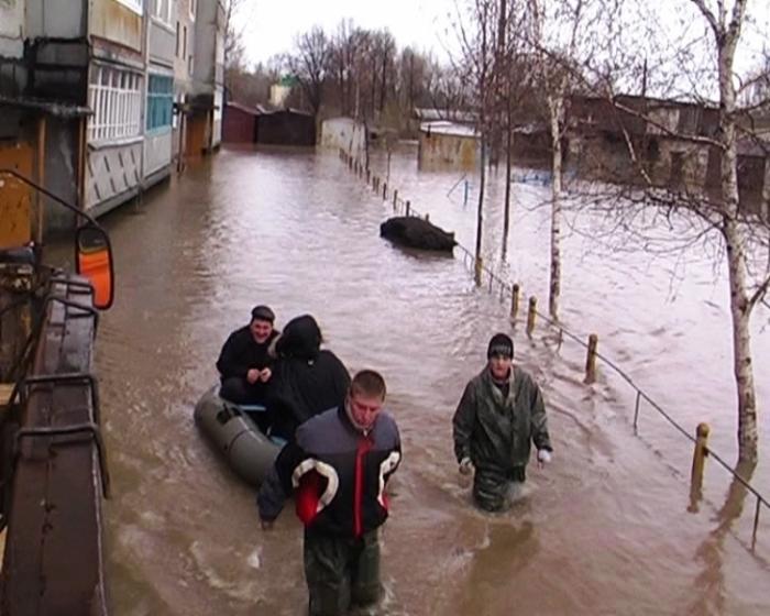 Фото Среда обитания