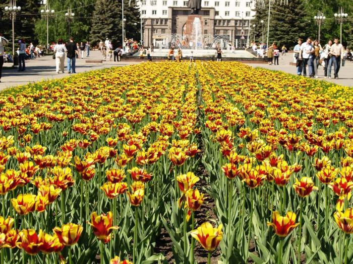 Фото Челябинск и челябинцы. Май-2007