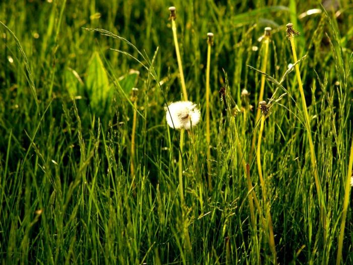 Фото Фестиваль СМИ- 2007