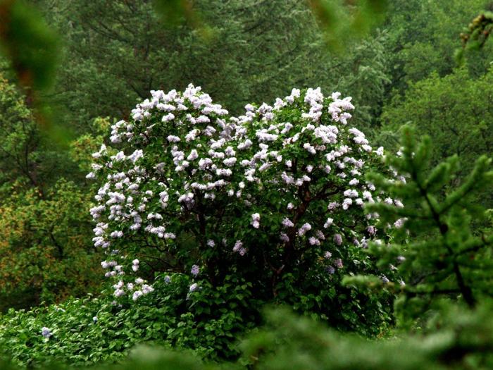 Фото Челябинск и челябинцы. Июнь-2007
