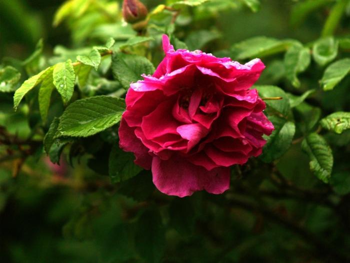 Фото Челябинск и челябинцы. Июнь-2007