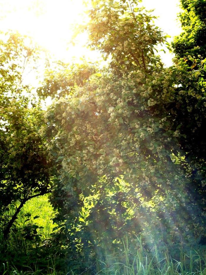 Фото Челябинск и челябинцы. Июнь-2007