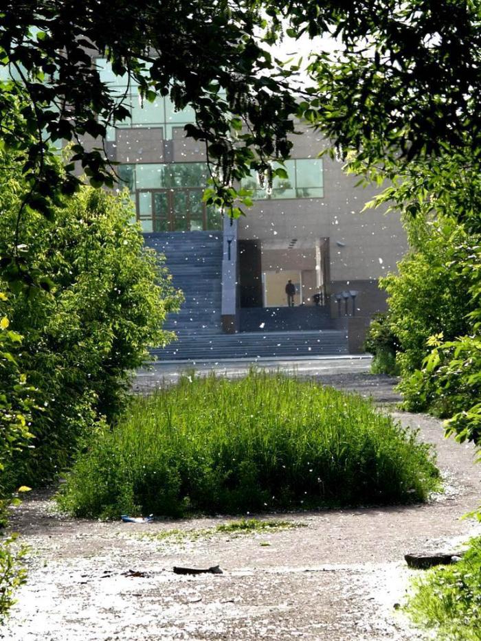 Фото Челябинск и челябинцы. Июнь-2007