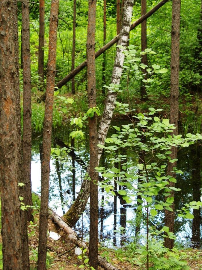 Фото Челябинск и челябинцы. Июнь-2007