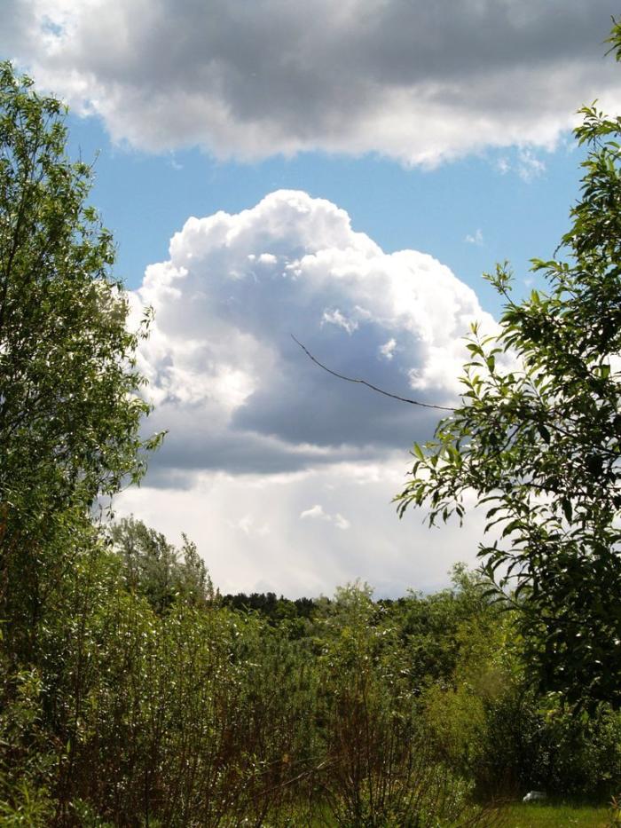 Фото Челябинск и челябинцы. Июнь-2007