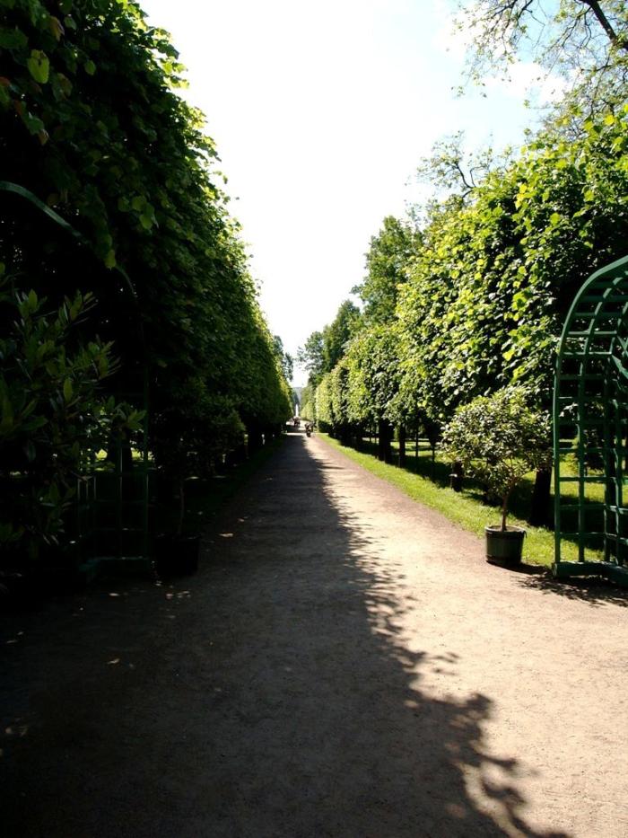 Фото Петергоф, июнь-2007