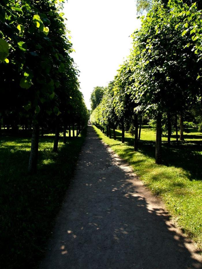 Фото Петергоф, июнь-2007