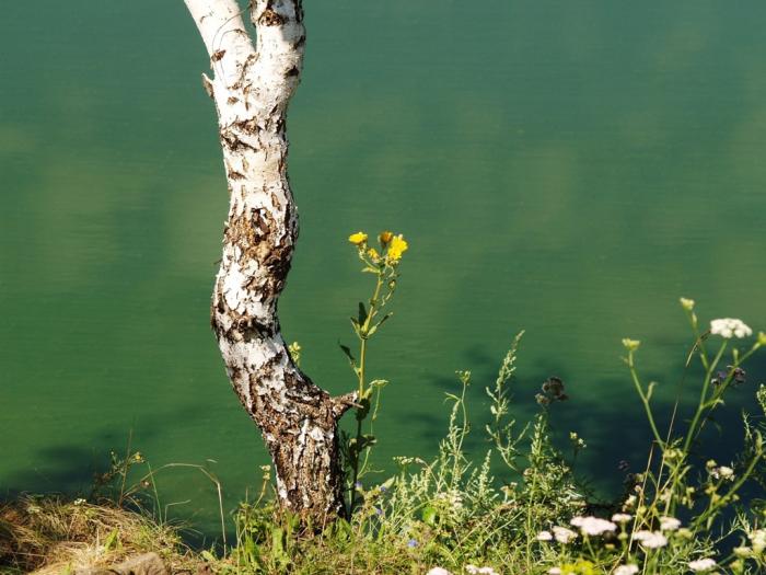 Фото Челябинск и челябинцы. Июль-2007