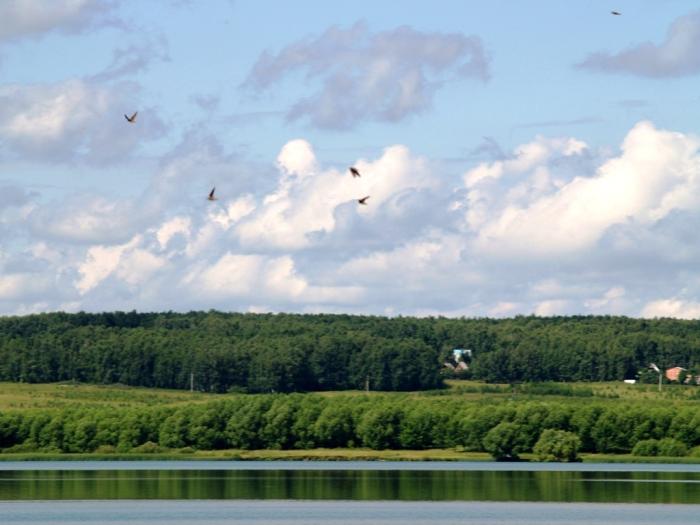 Фото Челябинск и челябинцы. Июль-2007