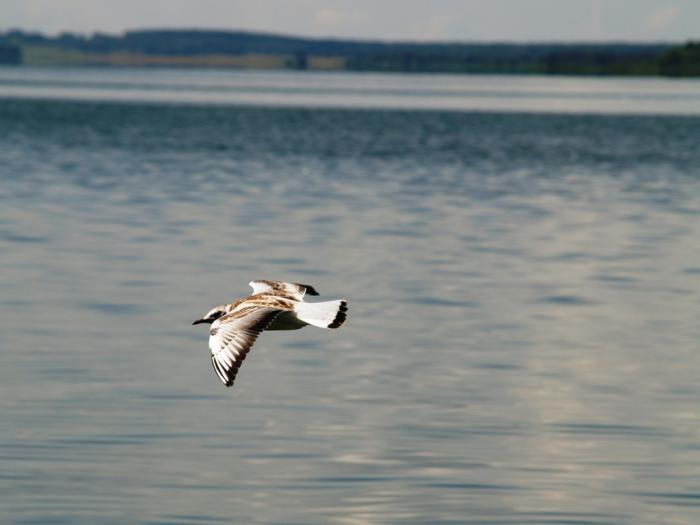 Фото Челябинск и челябинцы. Июль-2007