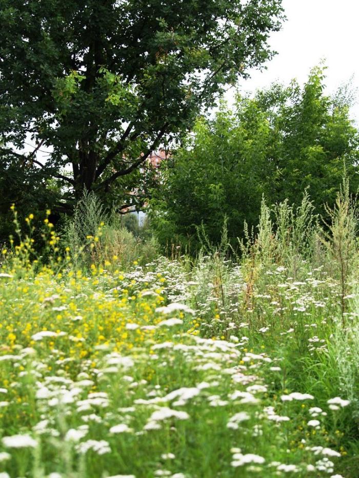 Фото Челябинск и челябинцы. Июль-2007